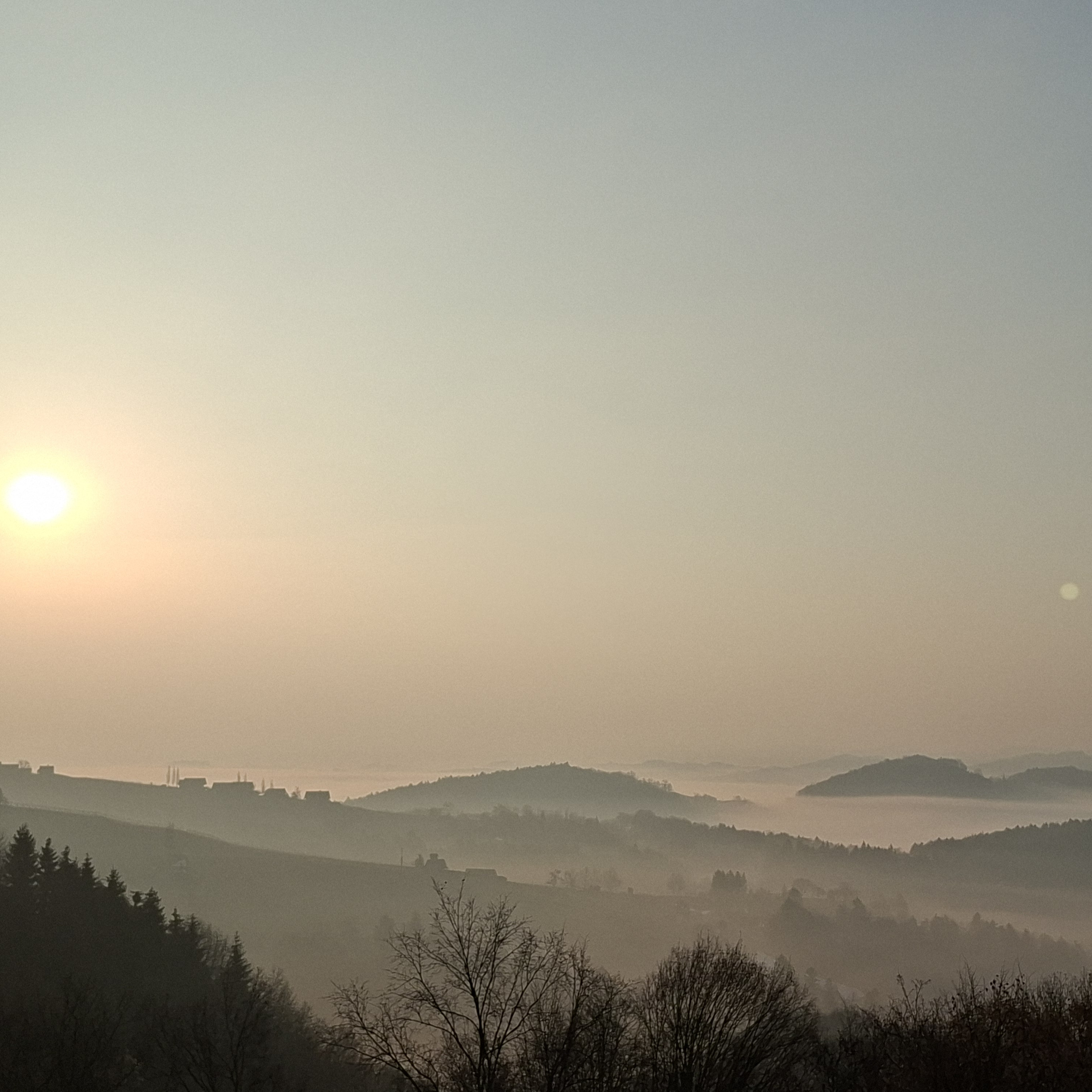Buschenschank ab 12. März wieder geöffnet! 🍷