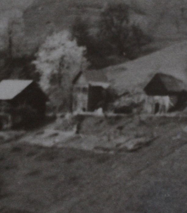 Aus Liebe zum Wein – seit 1960